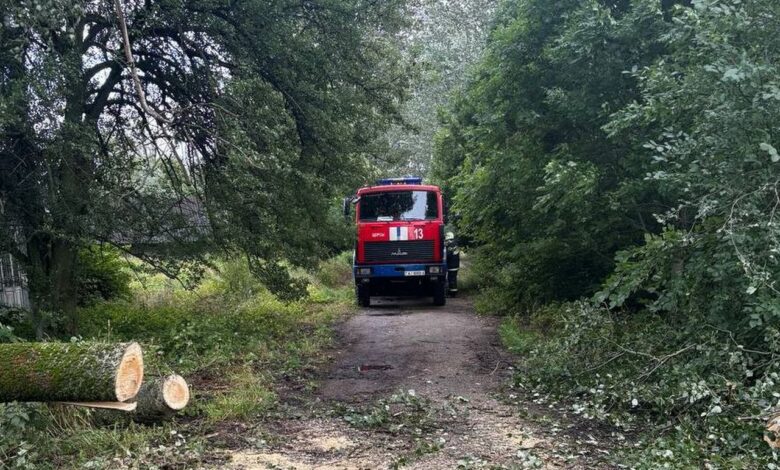 Непогода в Гродненской области