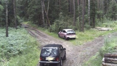 Фотоловушка в лесу поймала тех