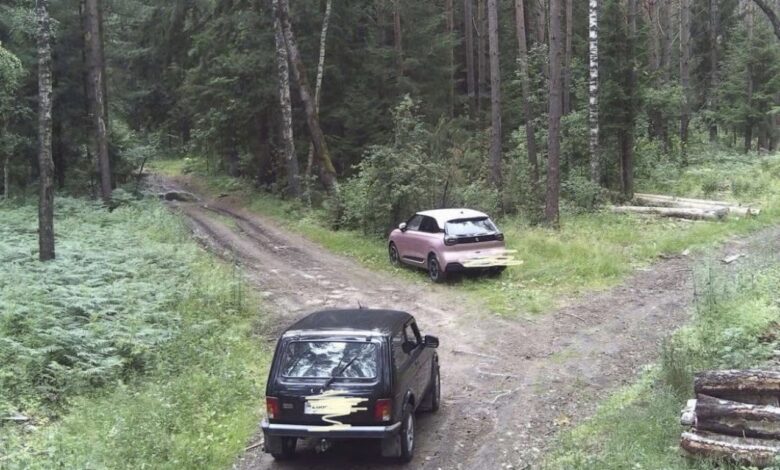 Фотоловушка в лесу поймала тех