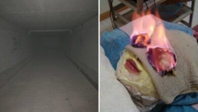 20 фотографий обычных вещей