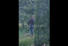 под Гродно