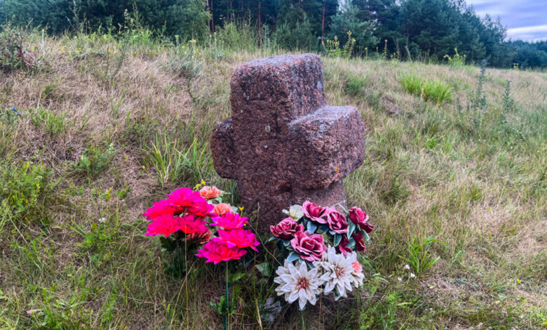 Под Слонимом заметили растущий