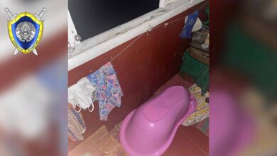 Осиповичах 5-летняя девочка выпал