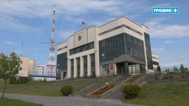 В Гродно осудили