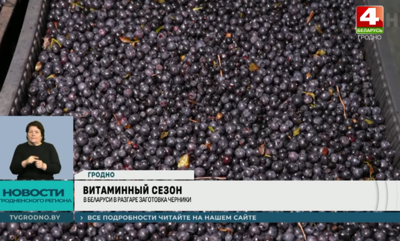 как гродненцы