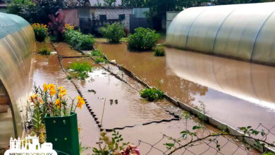 Как выглядят дачи под Гродно после дождей