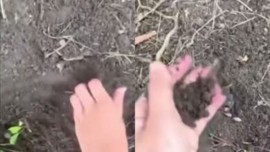 Соцсети
