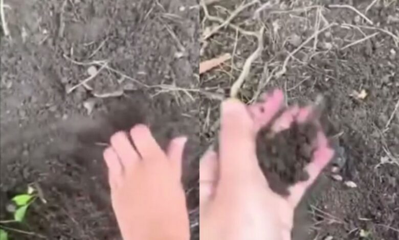 Соцсети