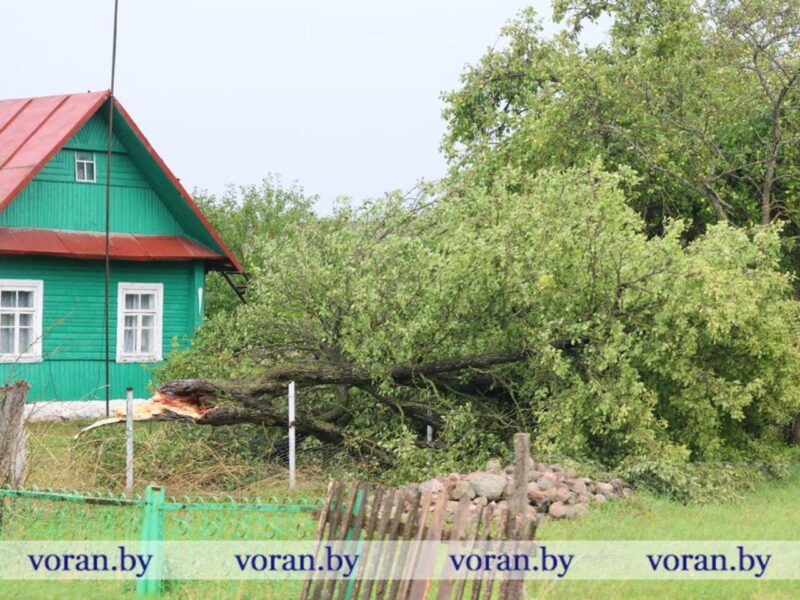 Разбитые крыши и побитые посевы: