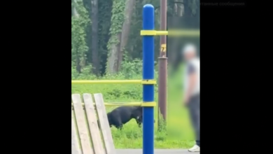 милиция Гродно о правилах