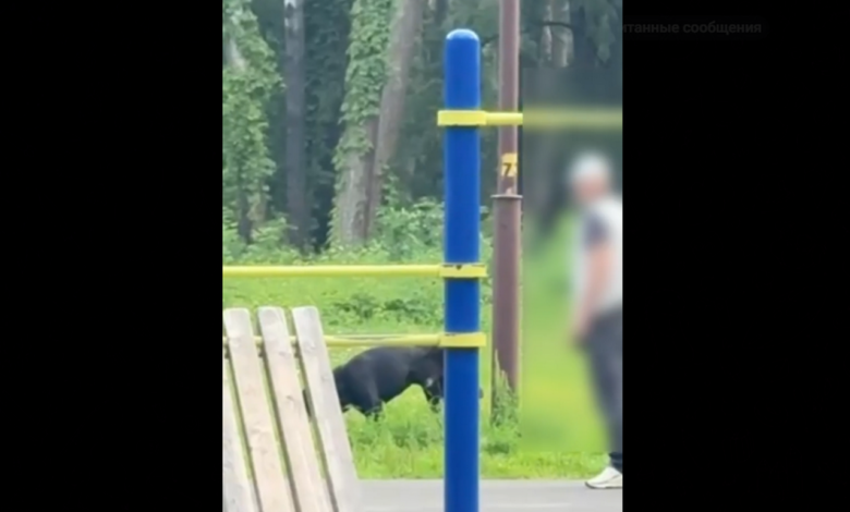 милиция Гродно о правилах