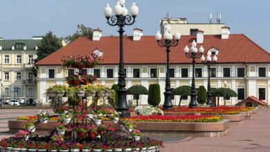 в Гродно высадили