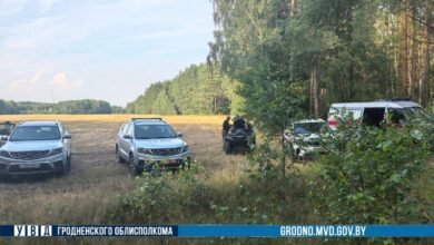Под Гродно ищут грибника