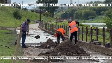 В Гродно устраняют последствия непогоды