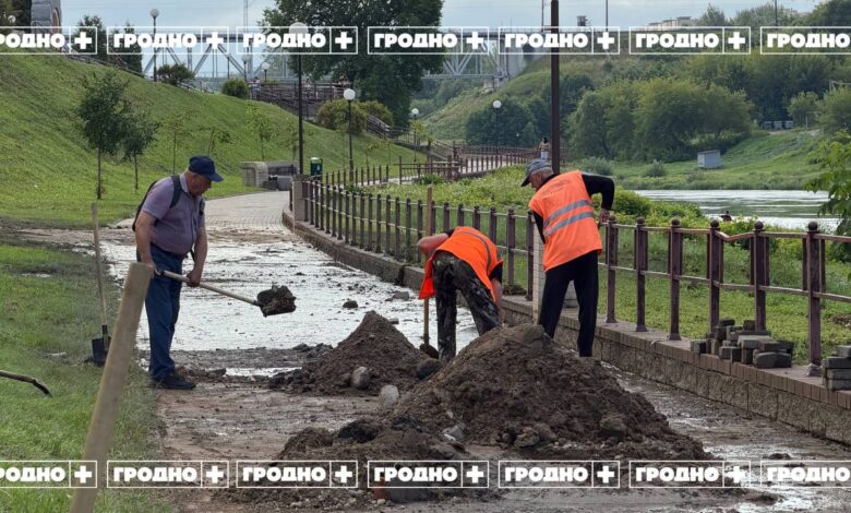 В Гродно устраняют последствия непогоды