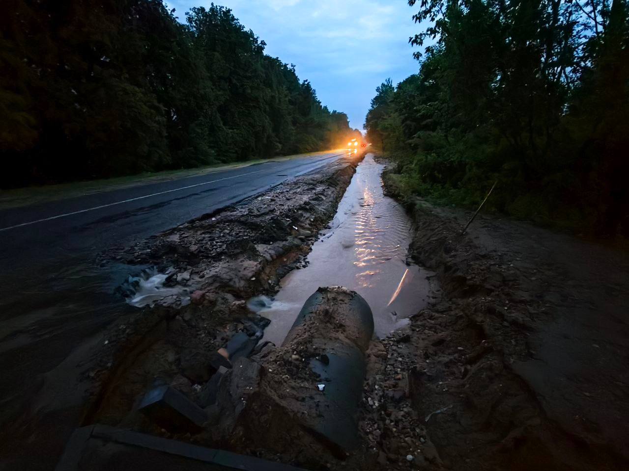 Жители Гродно помогают коммунальщикам навести порядок