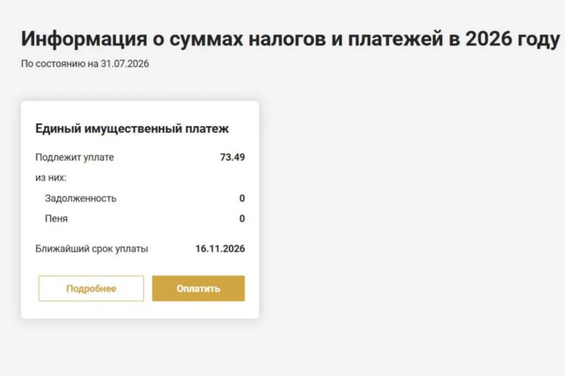Налоговая начала выставлять