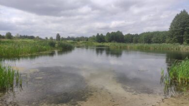 трагедия на водоеме