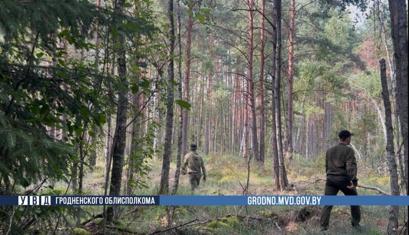 в Гродненском районе