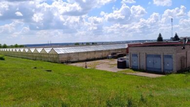 Завод в Гродно выставил на продажу комплекс теплиц