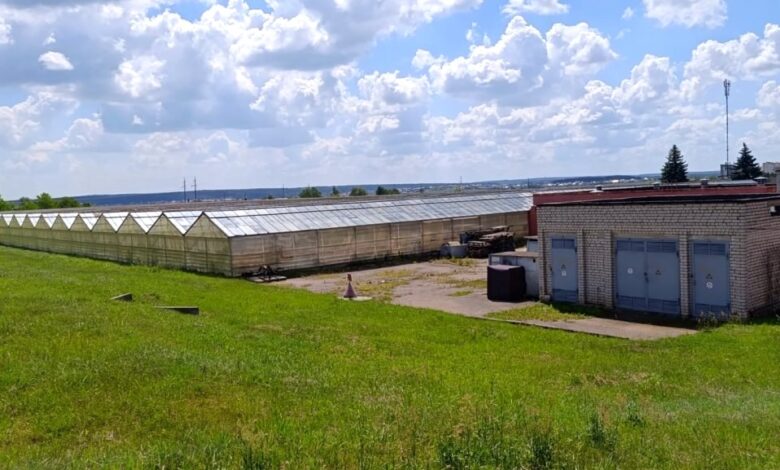 Завод в Гродно выставил на продажу комплекс теплиц