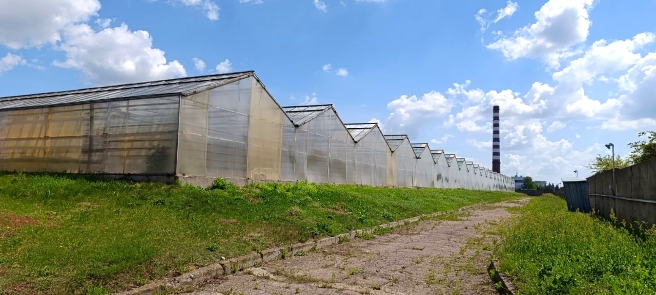 Завод в Гродно выставил на продажу комплекс теплиц