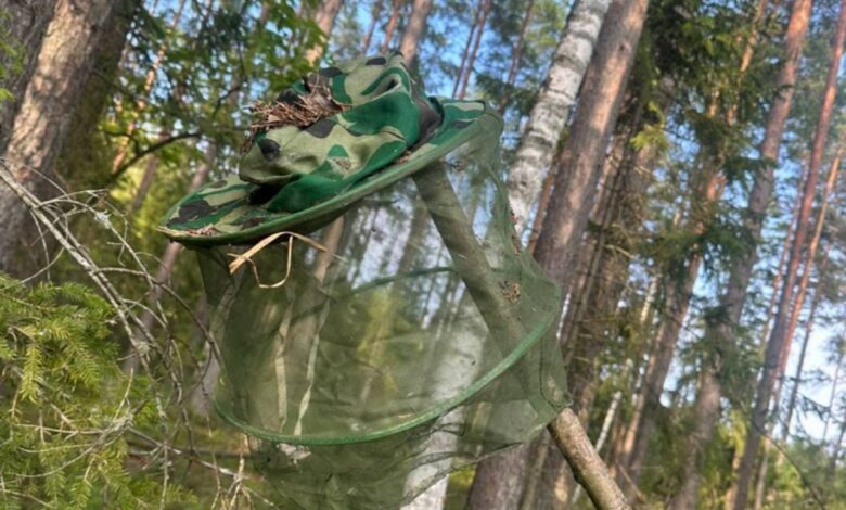 Под Гродно