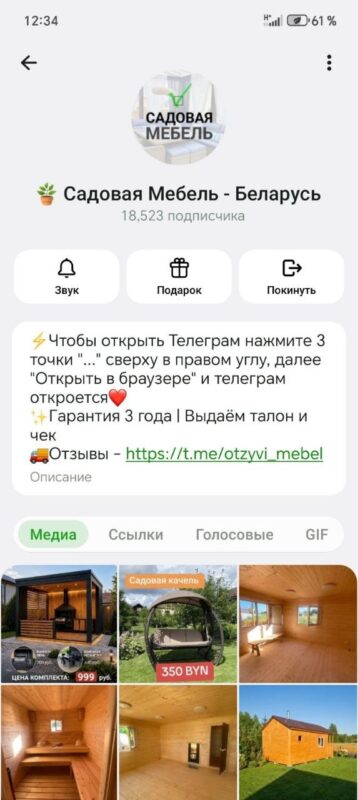 как мошенница из TikTok