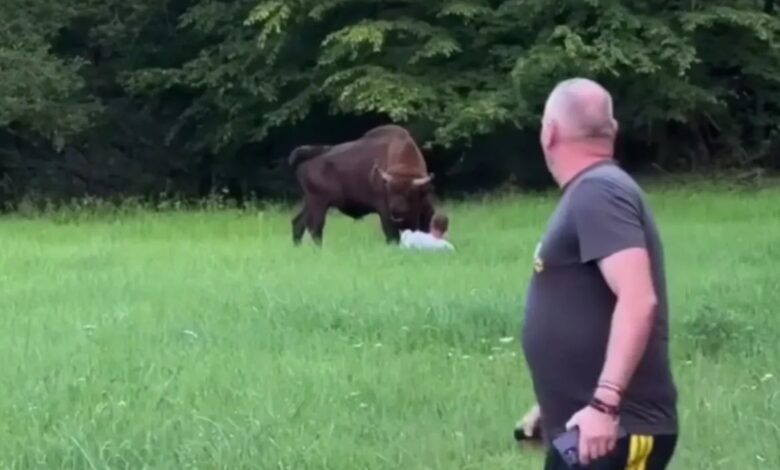 в Беловежской пуще