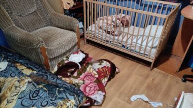 в Витебске арестован