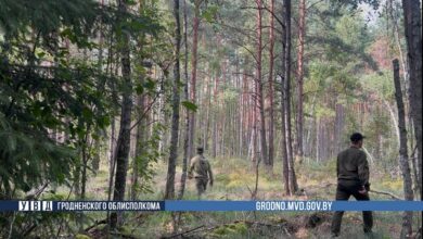 Грибник, которого под Гродно искали несколько дней, погиб