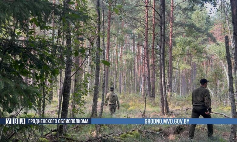 Грибник, которого под Гродно искали несколько дней, погиб
