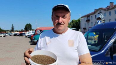 лидский фермер превратил грядки