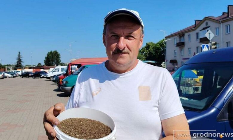 лидский фермер превратил грядки