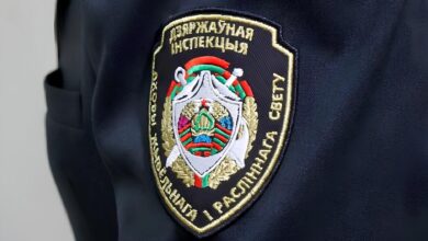 Минприроды могут объединить