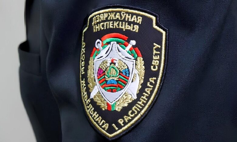 Минприроды могут объединить