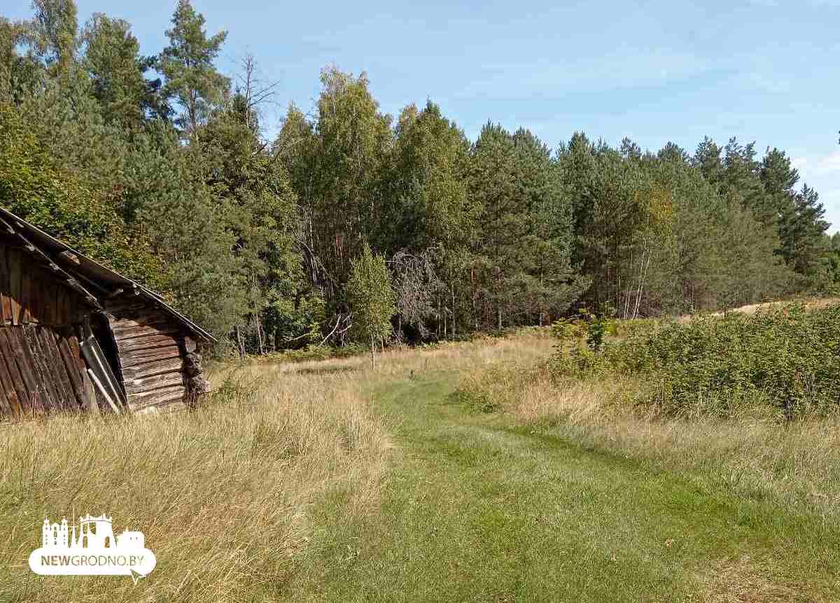 Под Гродно грибник