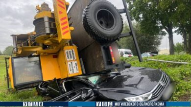 В Горецком районе
