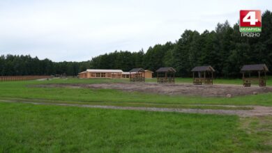 Контактный зоопарк в Коробчицах
