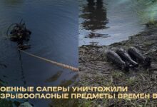 В Свислочи
