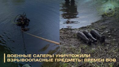В Свислочи