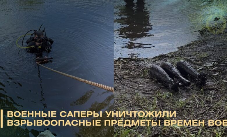 В Свислочи