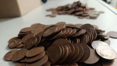 Белорус собирает монеты
