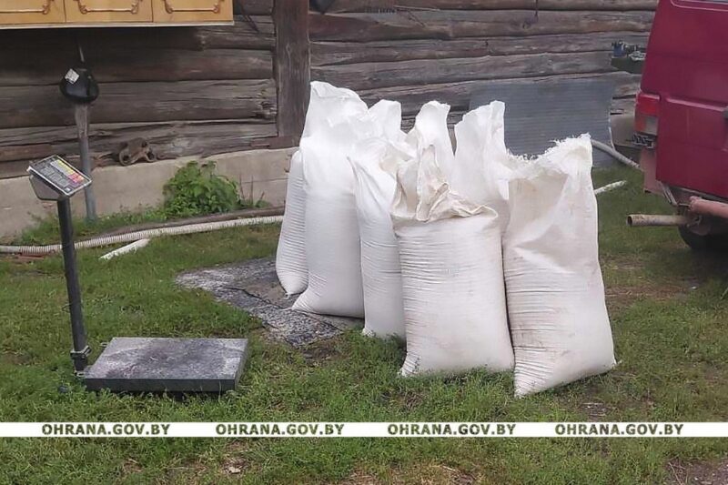 что 