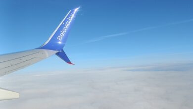 Belavia
