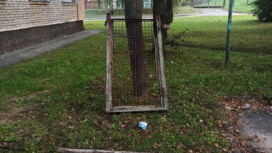 в гродненском
