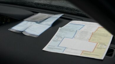 Осенью в Беларуси заработает электронный европротокол