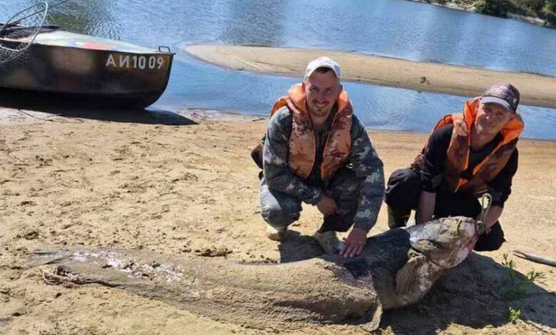 В Припяти выловили рыбу