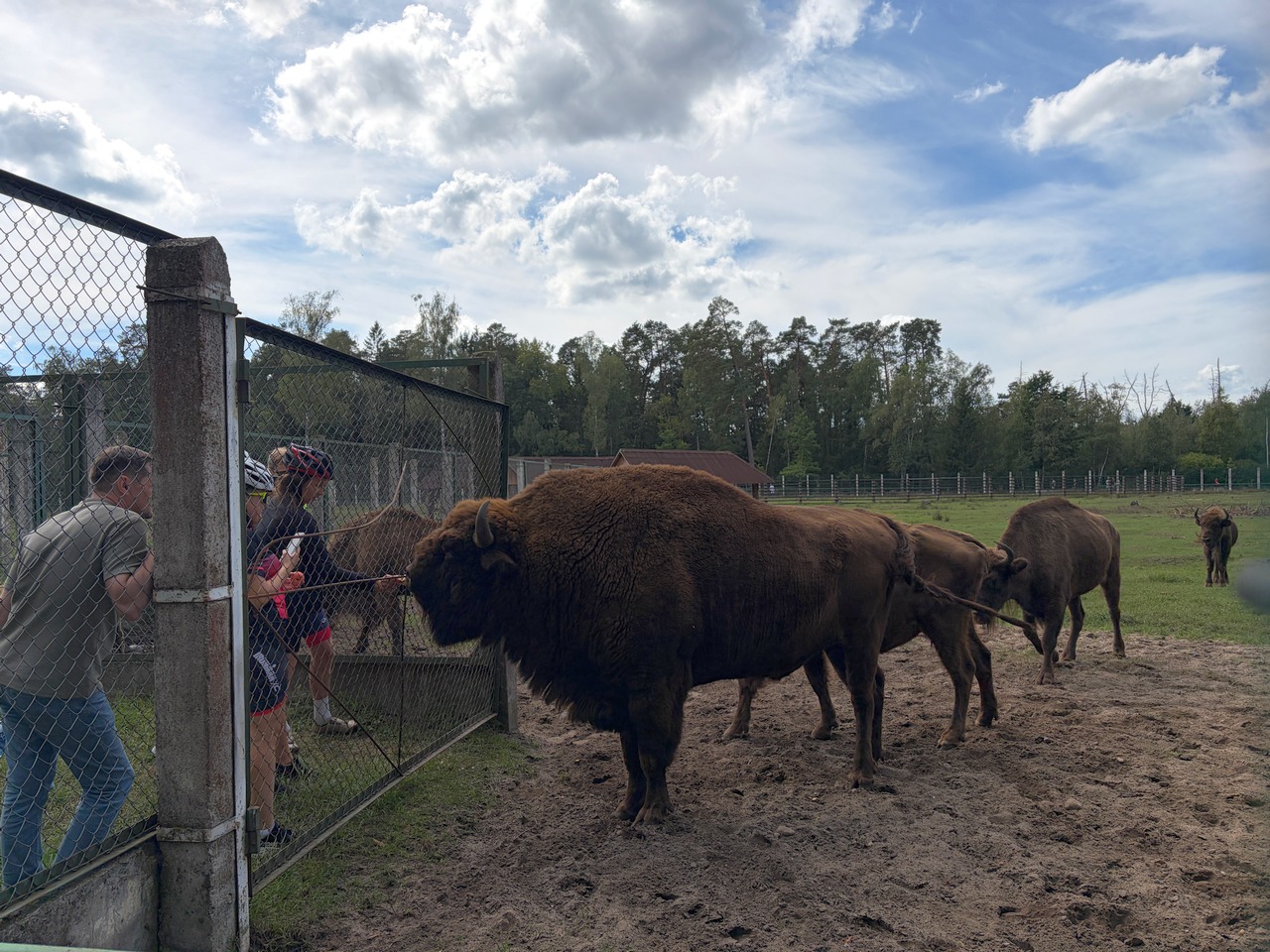 Как бизнесмен из Гродно