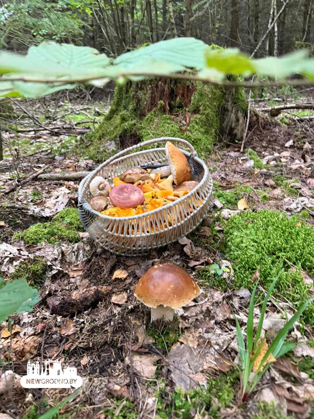 Под Гродно открылся сезон